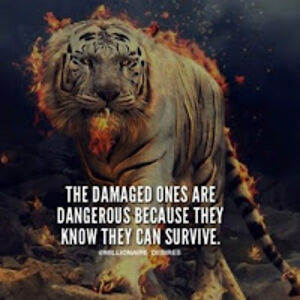 amandagriffith avatar