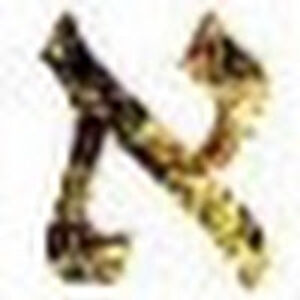 ezrahalberstadt avatar