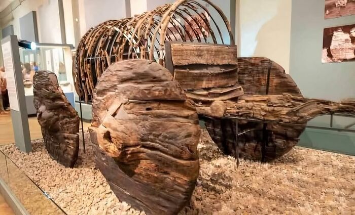 Ancient wooden shipwreck displayed in a museum showcasing archaeology news and architecture discoveries.