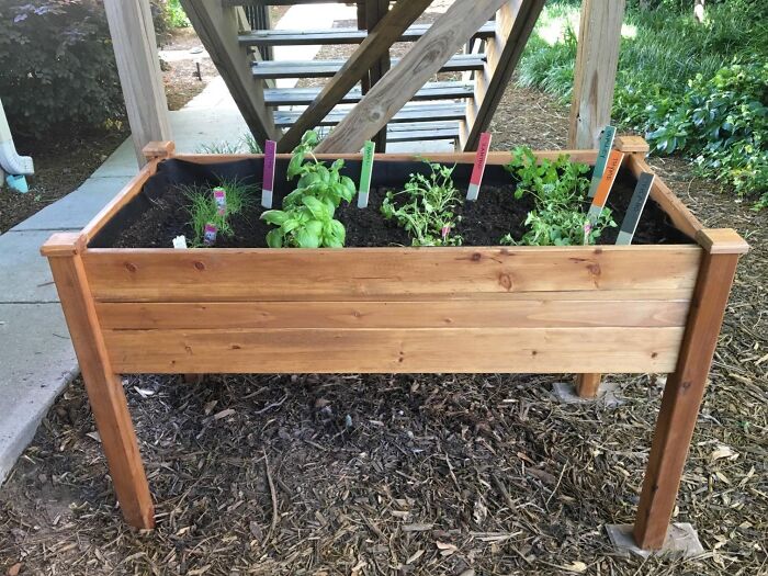 Raised wooden garden bed with herb plants, an outdoor upgrade to make your backyard the official hotspot this summer