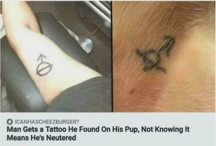 Two images showing tattoos with unusual meanings, illustrating blursed images that may make your brain short-circuit.