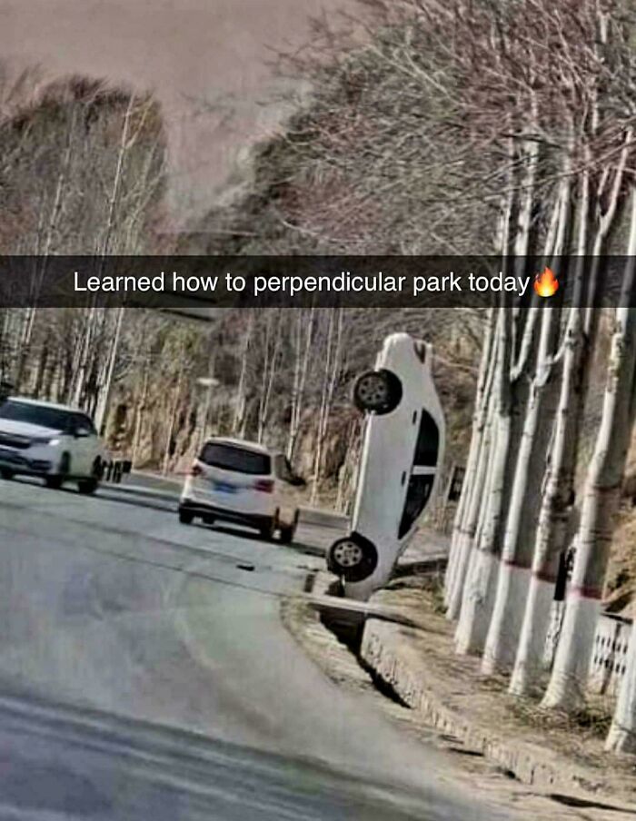 Car parked vertically against trees on road edge creating a blursed scene that may make your brain short-circuit.