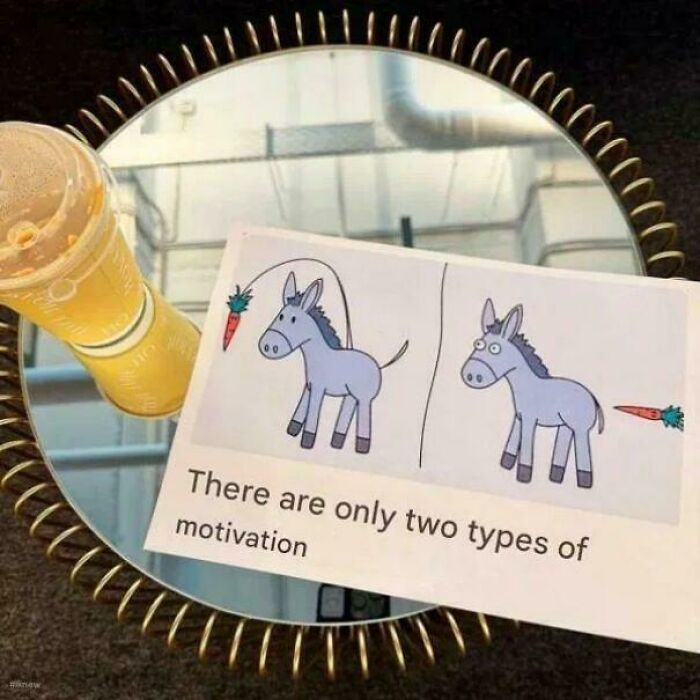 A blursed image showing a cartoon donkey chasing a carrot on a stick, reflecting two types of motivation.