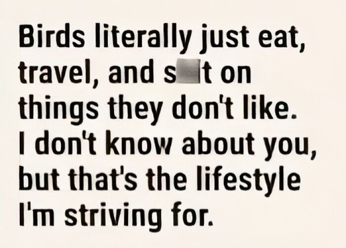 Funny meme text about birds eating, traveling, and marking what they dislike, ideal for daily laughs and meme enjoyment.