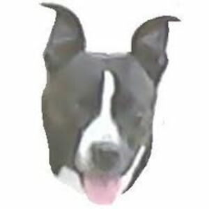 parkeradelle1 avatar