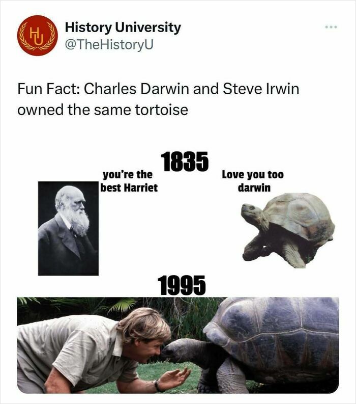 History meme showing Charles Darwin in 1835 and Steve Irwin with a tortoise in 1995 sharing a fun fact moment.