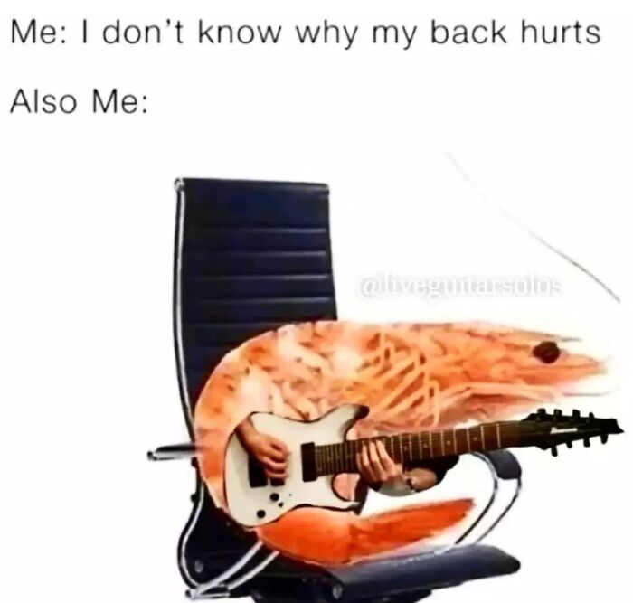Shrimp playing electric guitar while sitting on an office chair joke meme for random memes hilarious nonsense.