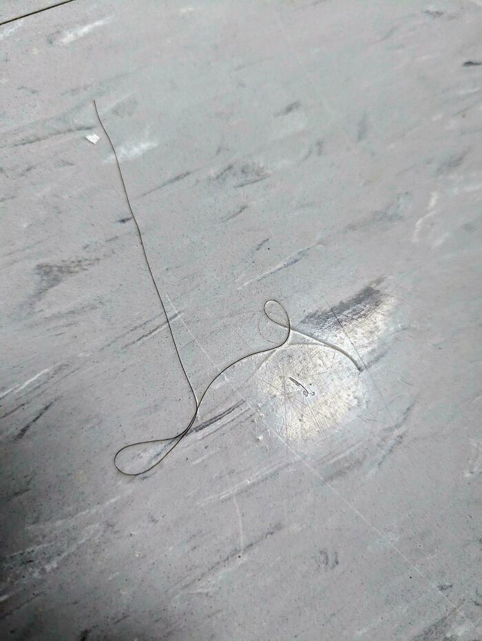 A dirty floor with a single long hair looped, showing one of the infuriating landlord specials causing renter frustration.