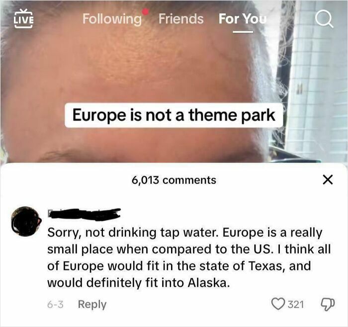 Screenshot of a social media comment underlining American ignorance about the size and tap water safety in Europe.
