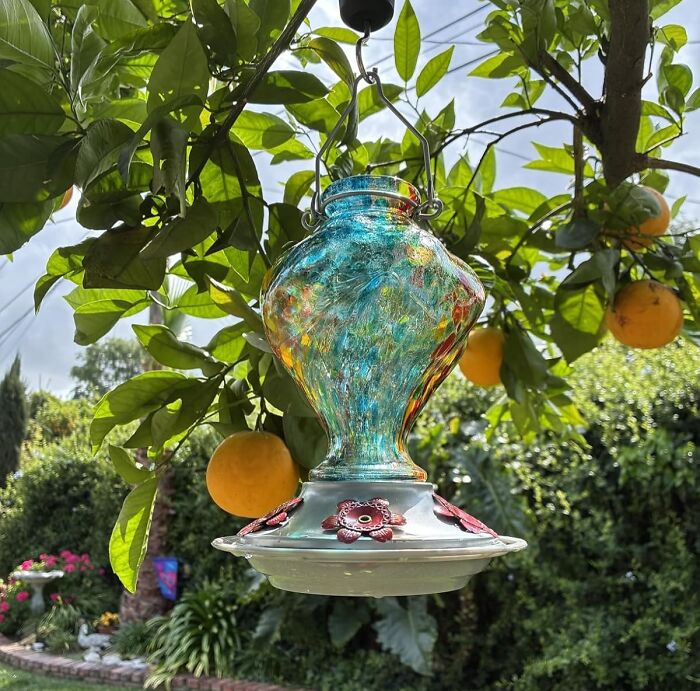 Colorful glass hummingbird feeder hanging from a tree with oranges, one of the affordable finds on Amazon.