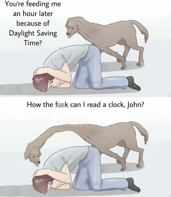Dog and person in humorous meme about daylight saving time, featured in funny and relatable Instagram memes.