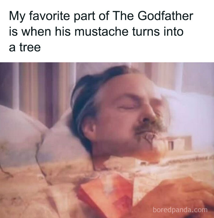 Funny and relatable meme showing a man with a mustache blending into a tree scene from an Instagram account.