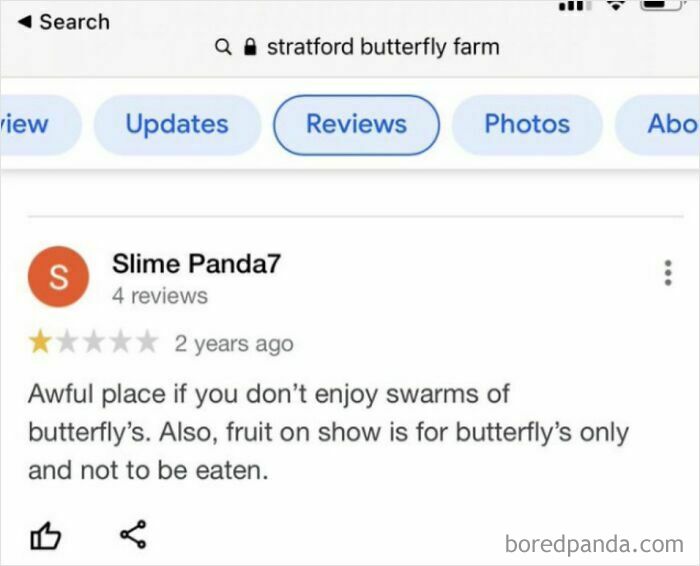Screenshot of a ridiculous customer review complaining about butterfly fruit at Stratford Butterfly Farm.