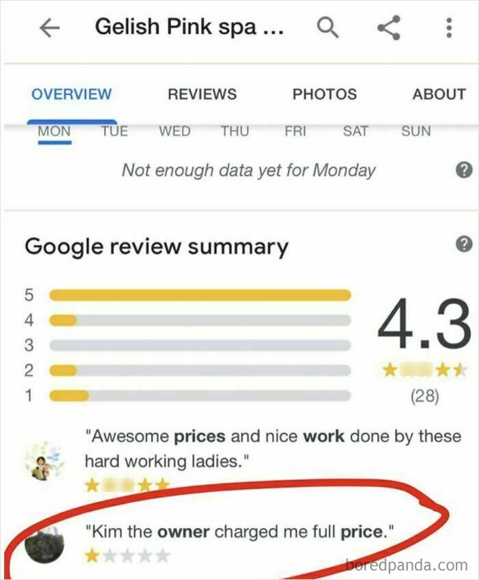 Google review summary for spa showing customer ratings with an absurd low review about full price charged by owner.