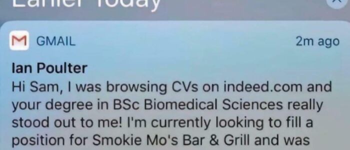 Screenshot of a Gmail notification showing a job inquiry, reflecting current life in the US through American perspectives.