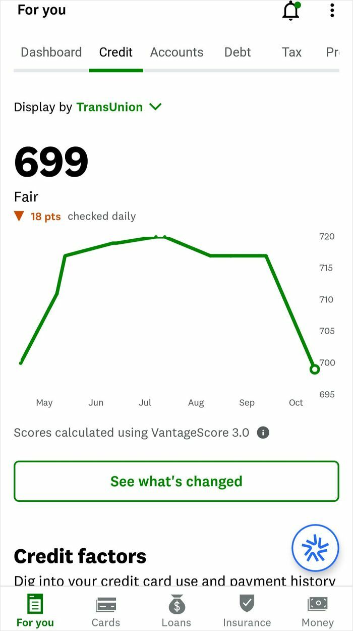 Credit score graph showing fair rating of 699, reflecting current life in the US through the eyes of Americans.