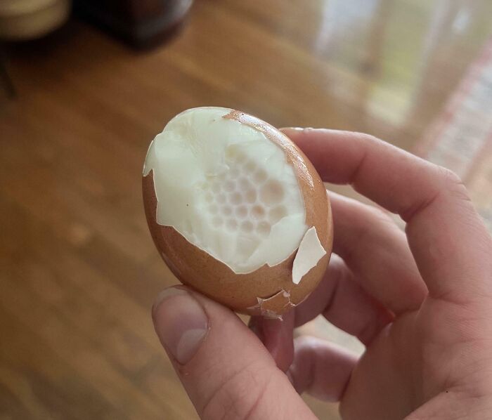 Hand holding a partially peeled egg with a creepy honeycomb pattern inside, a strange discovery to share.