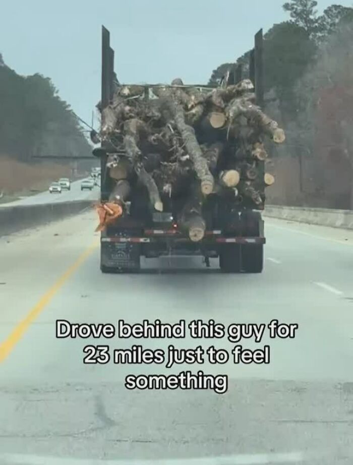 Truck loaded with large logs on highway with caption about driving behind for 23 miles as funny relatable meme.