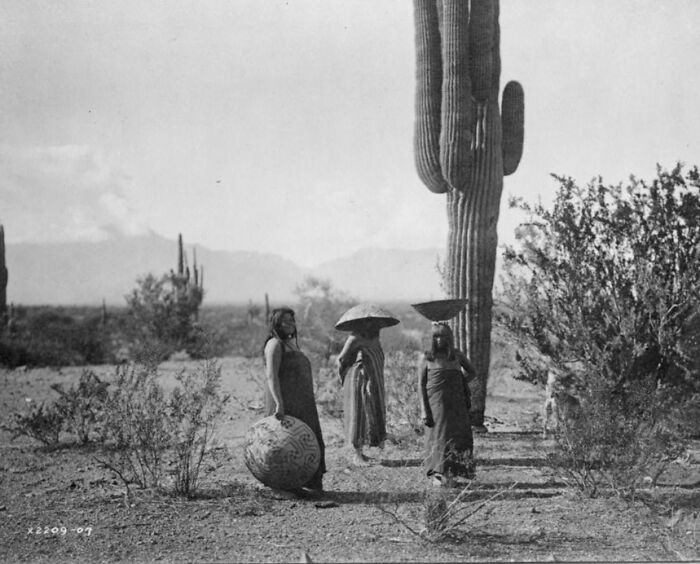 Three Native American women in traditional dress carrying pottery in a desert landscape with large cactus and shrubs, early 1900s.