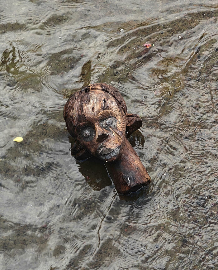 Carved wooden doll head submerged in water, an eerie and creepy object people had to share with others.
