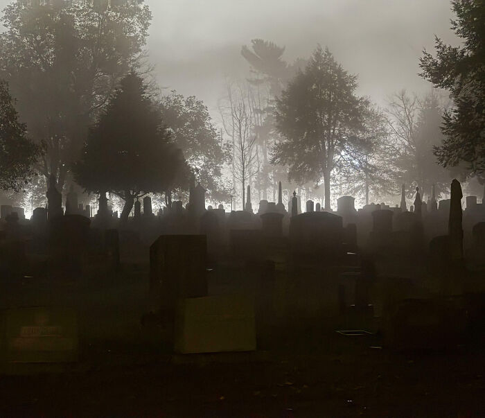 Foggy cemetery at night with eerie silhouettes of tombstones and trees, capturing a creepy scene people shared online.