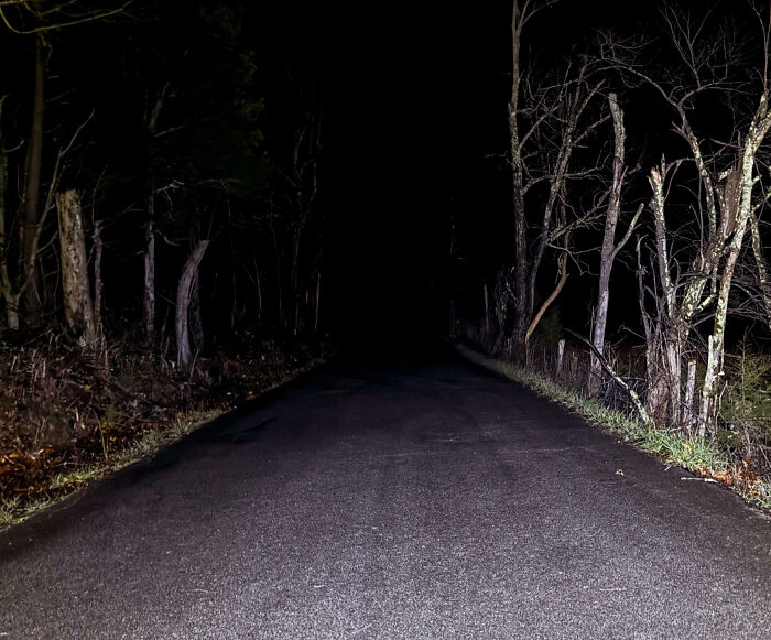 Dark empty road at night surrounded by trees, evoking creepy atmosphere people had to share with others.