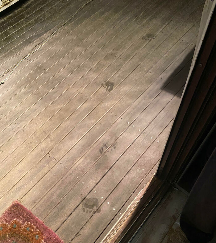 Faint mysterious footprints on a wooden deck leading from a door, evoking creepy and eerie feelings to share online.