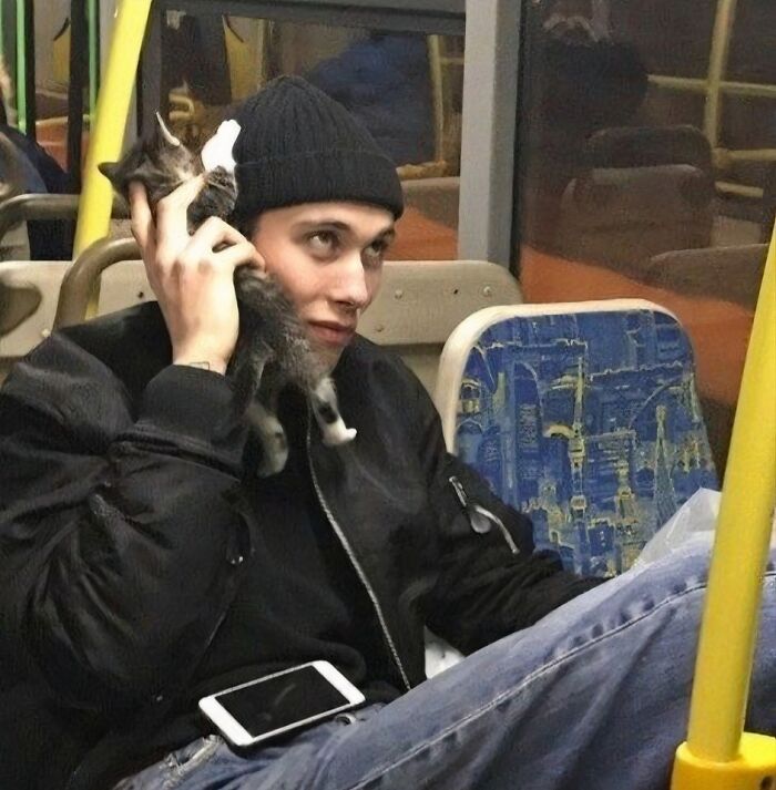 Man on bus holding a kitten to his ear like a phone, capturing a funny and heartwarming animal moment.