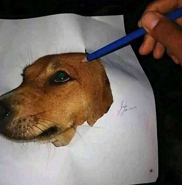 Realistic animal drawing of a dog's head on paper with hand holding a blue pencil creating the artwork.