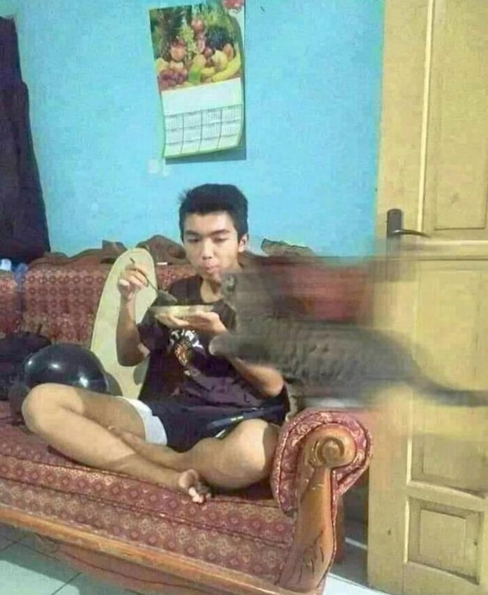 A young man sitting on a couch eating while a cat rapidly moves toward his bowl in a funny animal pic.