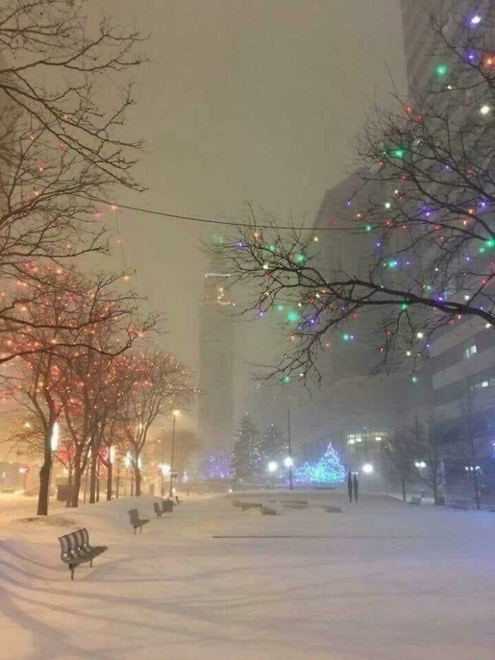Empty urban park covered in snow with colorful lights on trees, highlighting unsettling yet fascinating empty spaces.