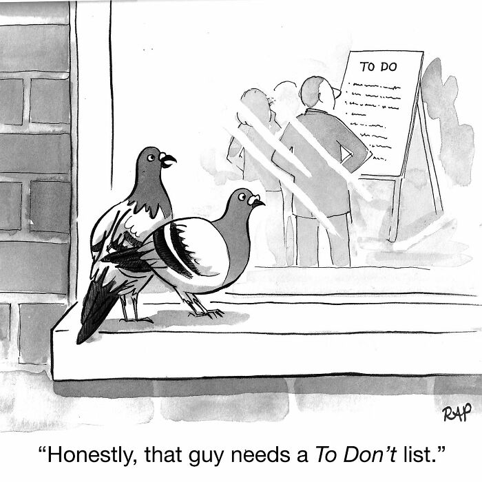 Two pigeons outside a window observe humans making a to-do list in a comic where animals take over the human world.