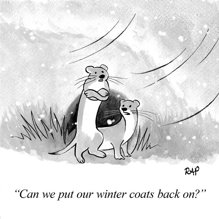 Two illustrated animals in a comic style, discussing winter coats with a snowy background, from animal takeover comics.
