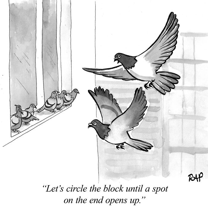Comic illustration of pigeons in flight and perched on a ledge in a humorous animals take over the human world scene.