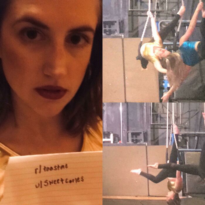 Woman holding a sign requesting to be toasted on the internet, paired with photos of aerial silks performance.