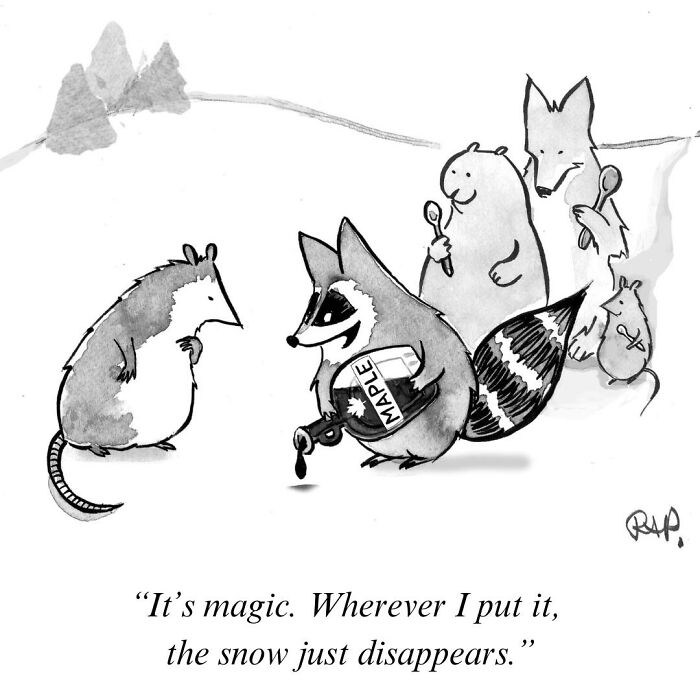 Animals in a comic scene humorously taking over the human world, featuring a raccoon pouring maple syrup on snow.