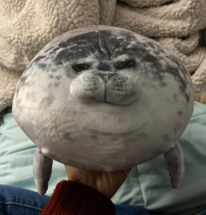 Soft, round seal plush toy held in hand showcasing one of the chaotic products you might actually want.