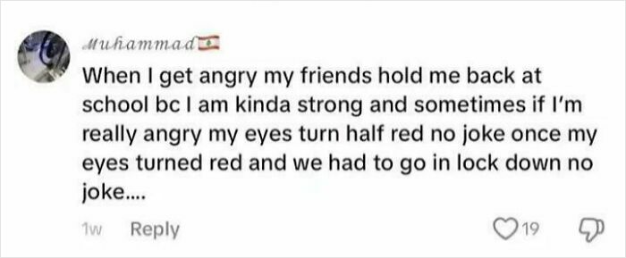 Screenshot of a social media comment showing one of the outrageous lies people actually tried to pass off as real.