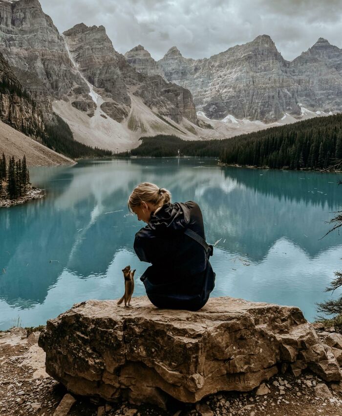 Person sitting on a rock by a lake in the mountains interacting with a small animal, showcasing one-in-a-million coincidences.