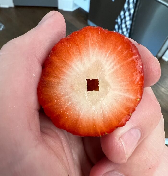 Close-up of a hand holding a strawberry slice with a rare one-in-a-million coinidence square hole in the center.