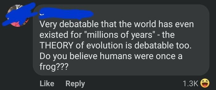 Screenshot of a social media comment doubting evolution and questioning if humans were once frogs, illustrating brain fail moments.