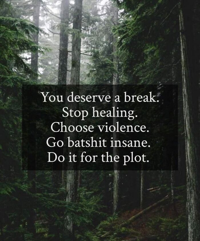 Motivational quote in a forest setting encouraging chaos and humor for funny pics to scroll through during mental breakdowns.