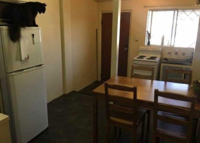 Dimly lit kitchen with basic wooden table and chairs, old appliances, and a black cat sitting on top of the refrigerator, illustrating bad landlords.