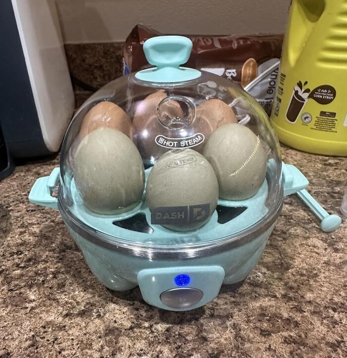 Electric egg cooker with eggs inside, a popular TikTok find featured on viral product recommendation pages.