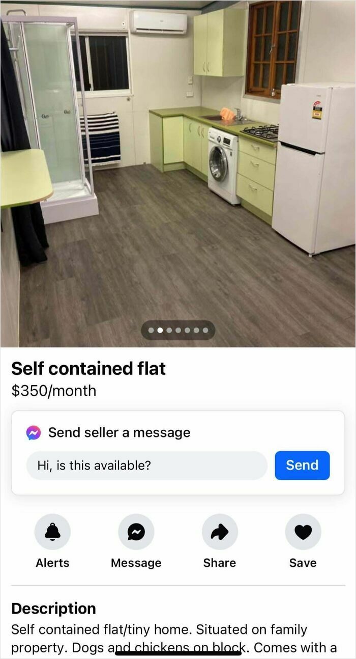 Small self contained flat with basic kitchen appliances and shower, illustrating bad landlords and renting nightmares.