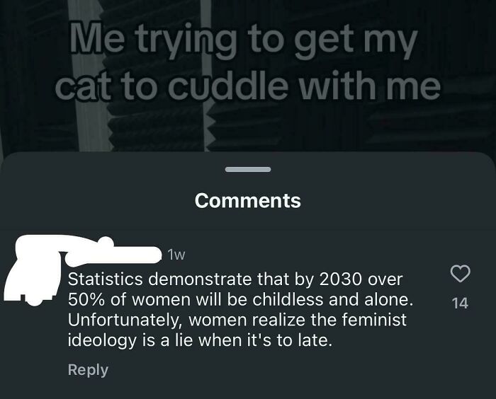 Screenshot of a sexist comment about women and feminism, illustrating men that are so sexist they shouldn't be allowed near women.
