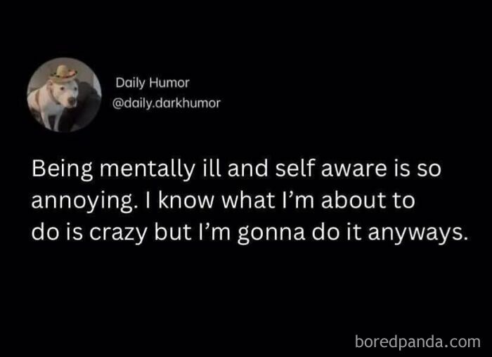 Humorous mental health quote about being mentally ill and self aware, fitting the theme of funny pics for mental breakdowns.