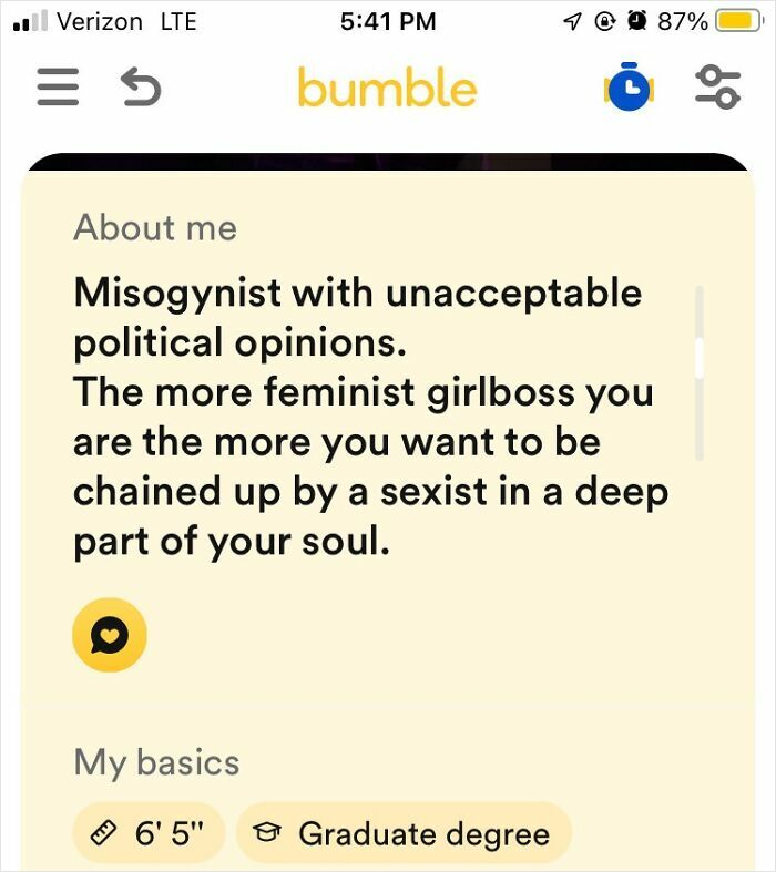 Bumble dating profile screenshot showing a misogynist with sexist opinions and feminist girlboss comment.
