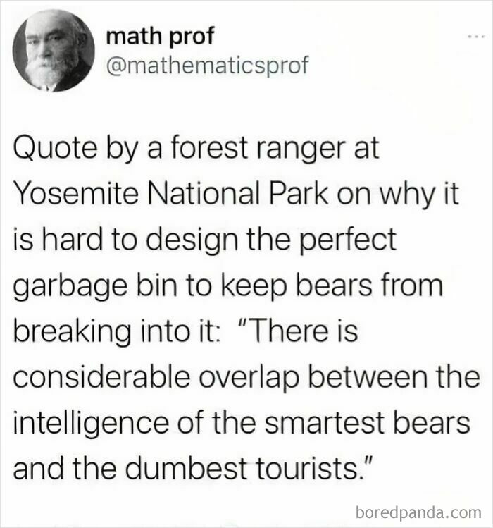 Meme featuring a math professor quote about designing bear-proof garbage bins and tourists’ intelligence overlap.