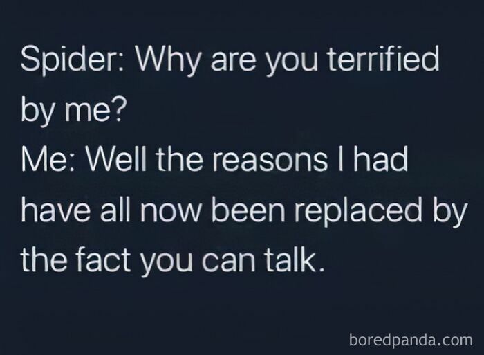 Text meme about being terrified of a talking spider, part of random memes for brain break humor.